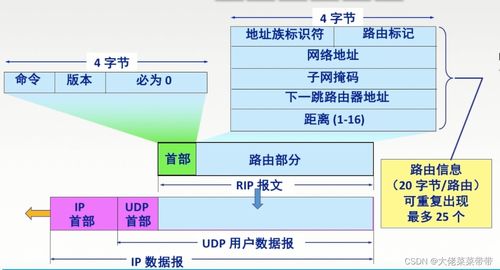 網(wǎng)絡(luò)層在計(jì)算機(jī)網(wǎng)絡(luò)開發(fā)與服務(wù)中的關(guān)鍵作用